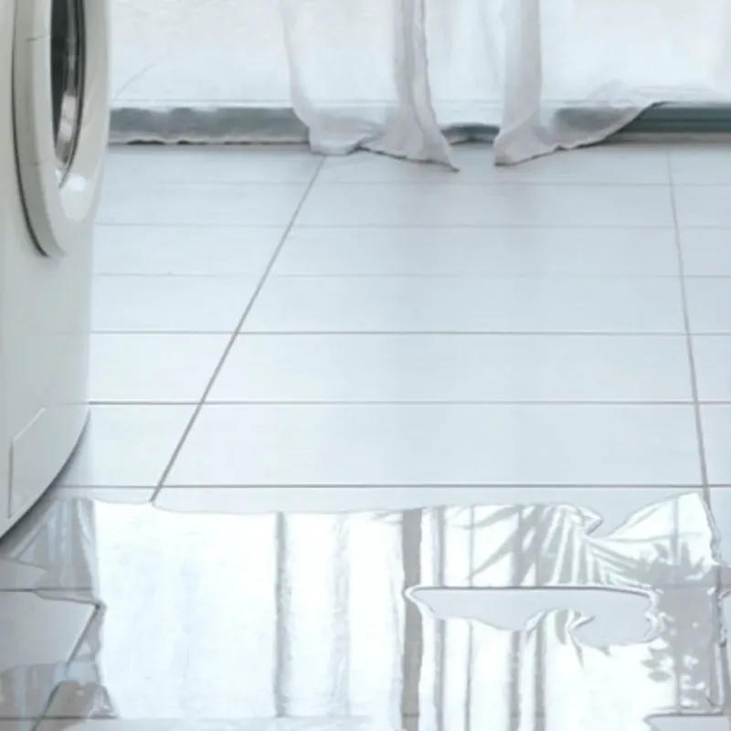 Appliance Leak Cleanup in Clarke County, VA