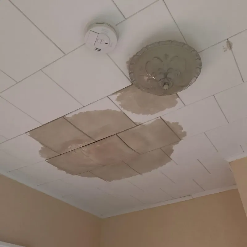 Ceiling Water Damage Repair in Clarke County, VA