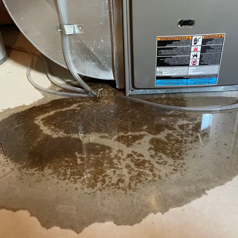 Pipe Burst and Leak Restoration in Clarke County, VA