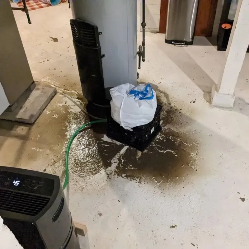 Sewage Backup Cleanup Service in Clarke County, VA